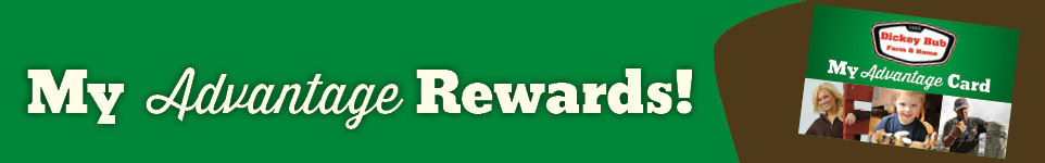 advantage rewards banner-second banner